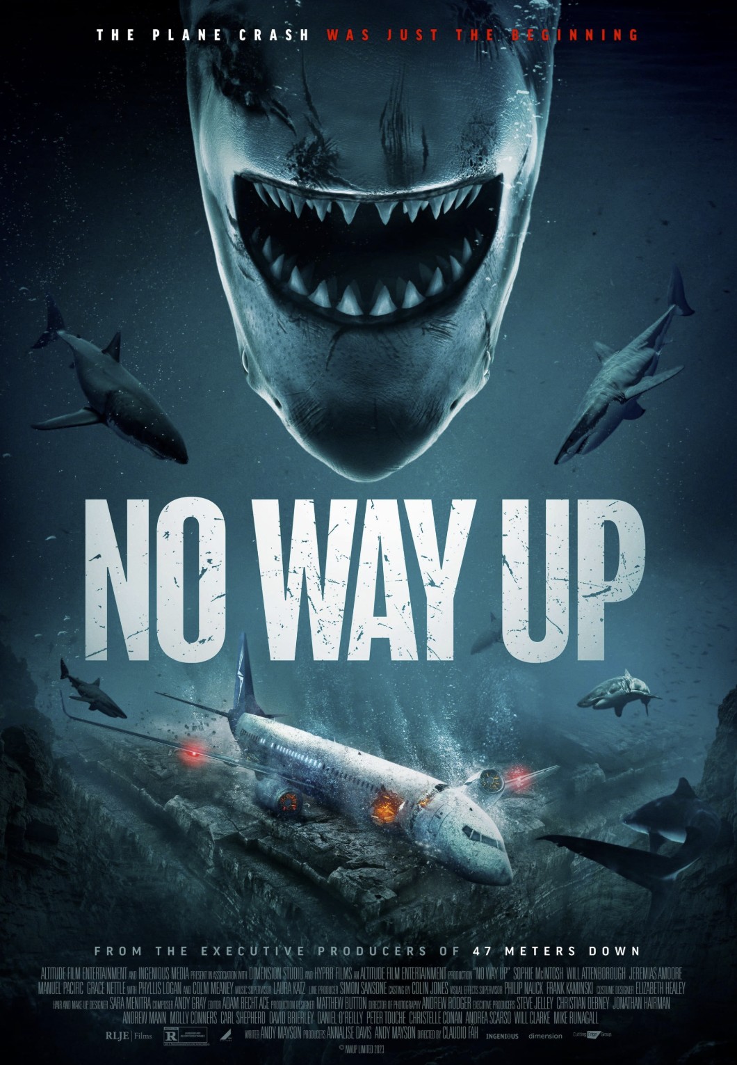 فیلم راهی برای بالا رفتن نیست No Way Up ( 2024 )