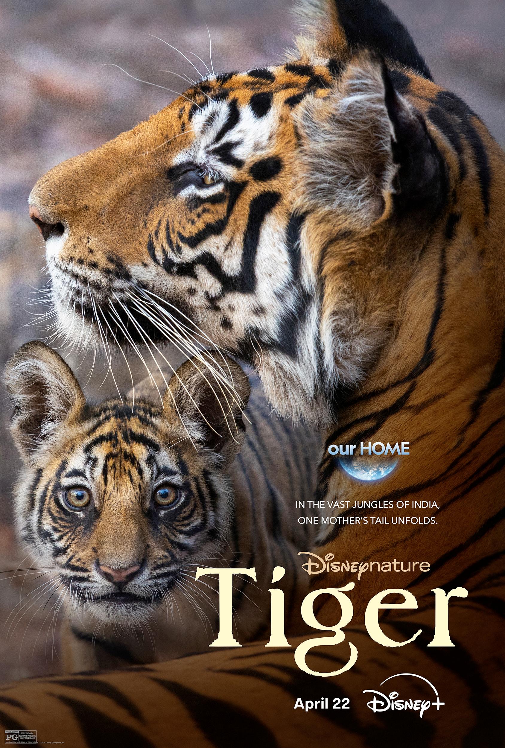دانلود مستند ببر Tiger 2024 MV5BYWY1MzkzNmMtODk3YS00YTI2LTgyMjItNjBlNWJiMGE2OTI4XkEyXkFqcGdeQXVyMjY5ODI4NDk@. V1