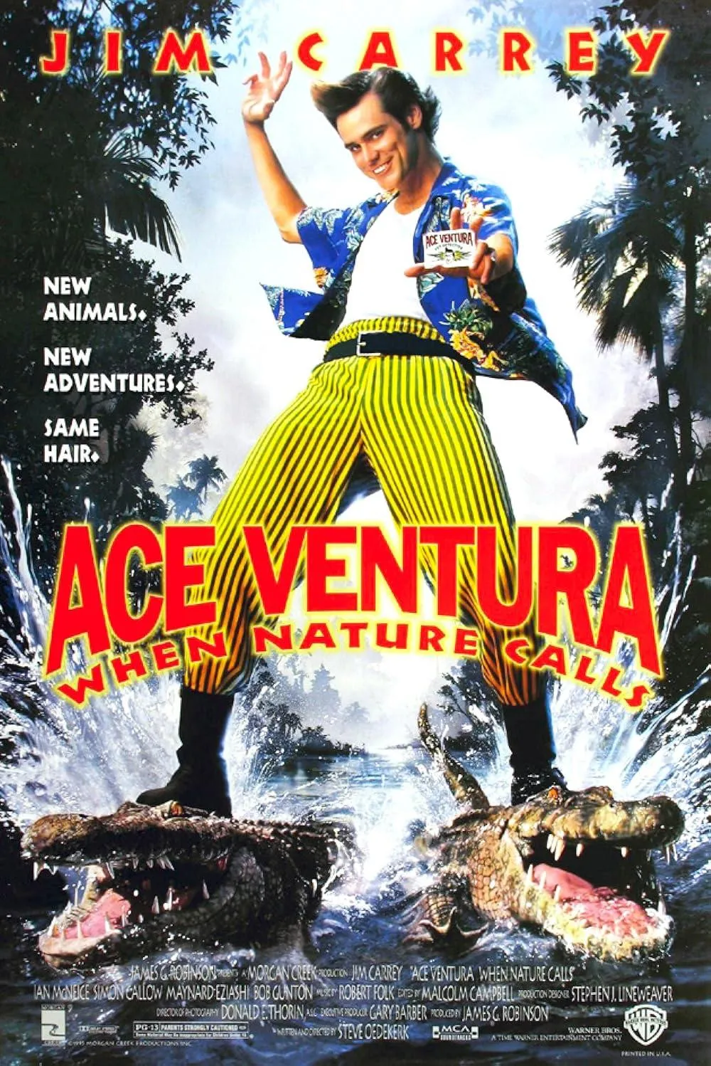 دانلود فیلم ایس ونچورا: هنگامی که طبیعت فرا می‌خواند Ace Ventura: When Nature Calls 1995