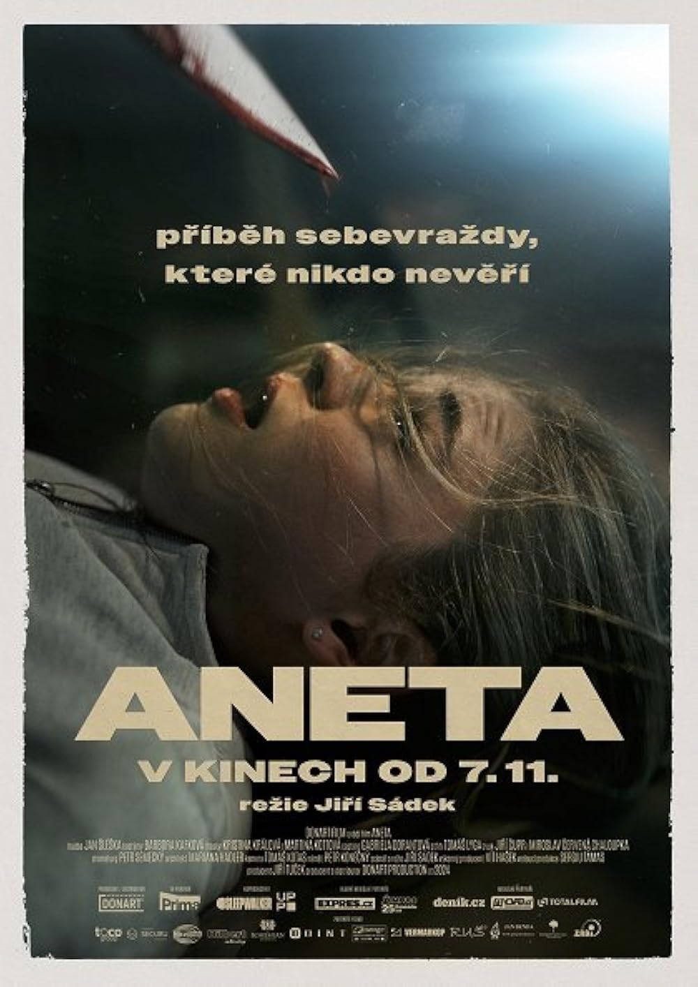 دانلود فیلم آنتا Aneta 2024