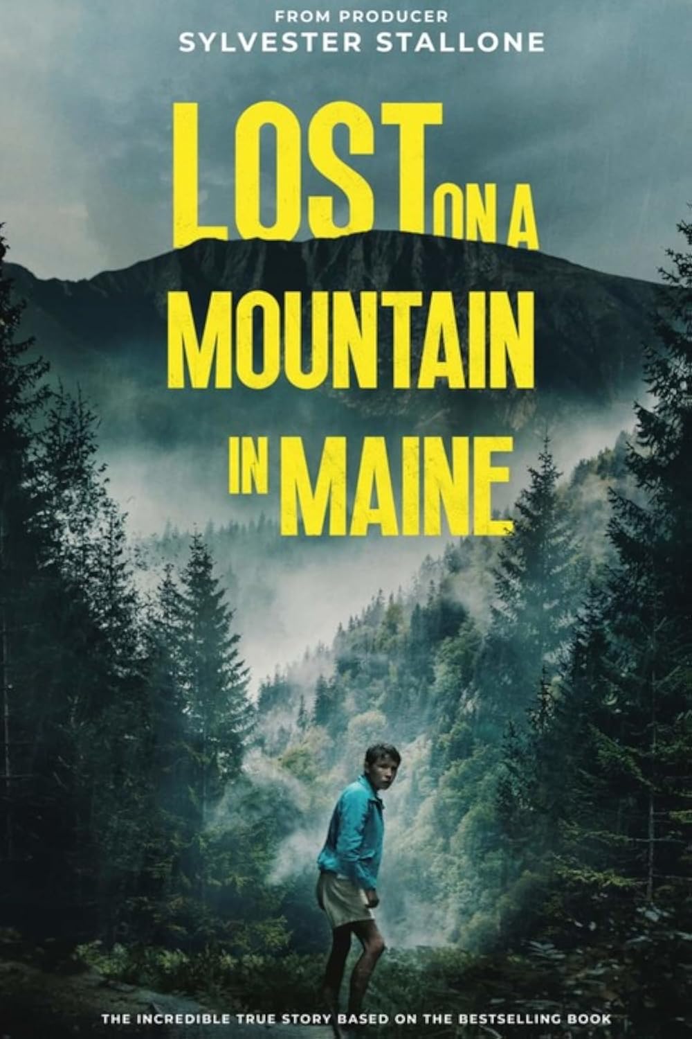 دانلود فیلم گمشده در کوهستان مین Lost on a Mountain in Maine 2024