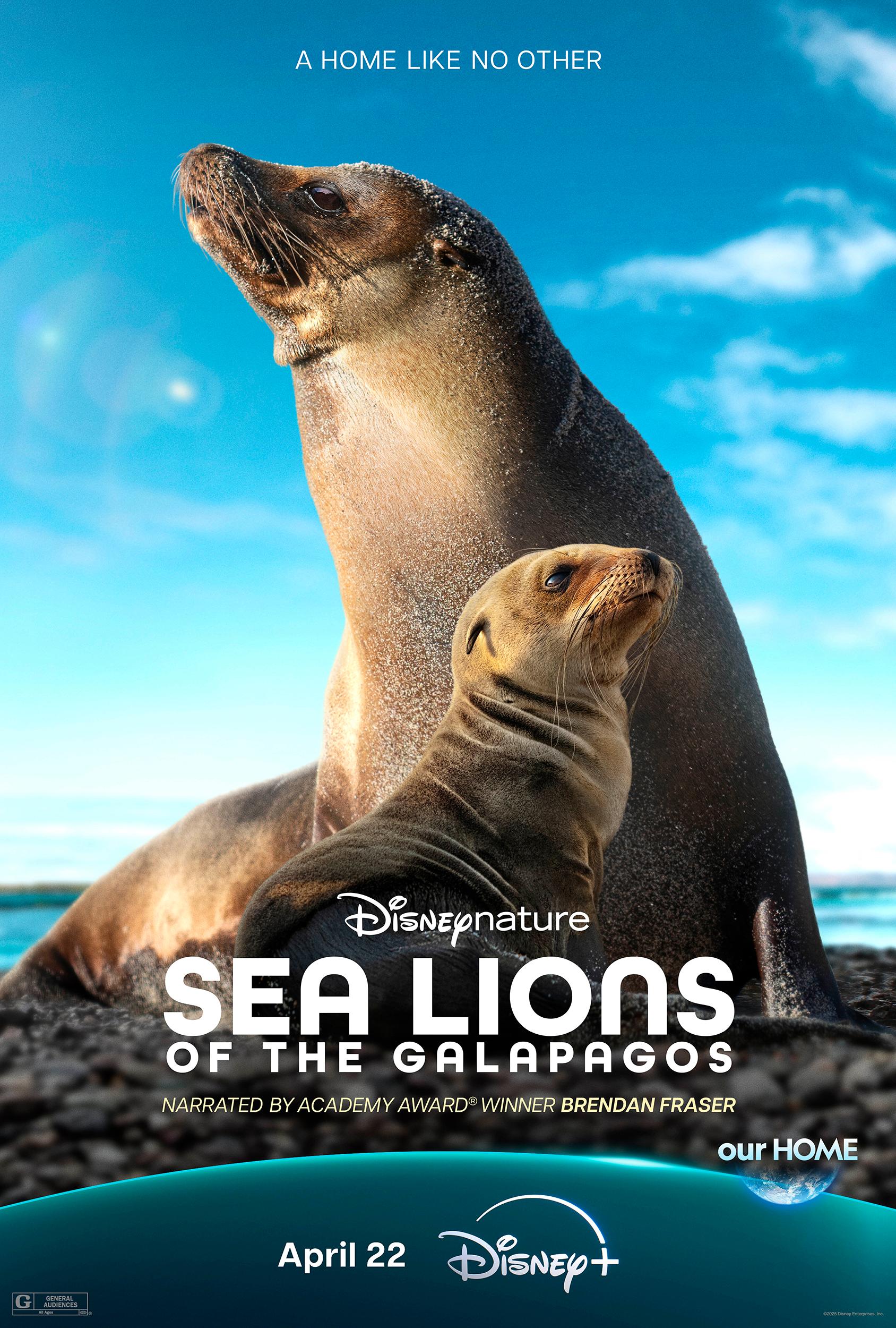 دانلود مستند شیرهای دریایی گالاپاگوس Sea Lions of the Galapagos 2025
