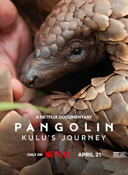 دانلود مستند سفر پنگولینی به اسم کولو Pangolin: Kulus Journey 2025