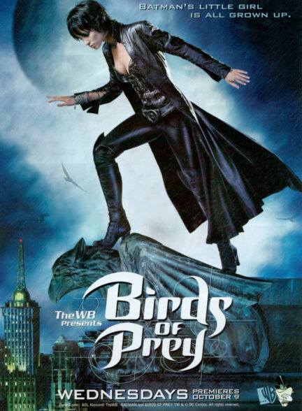 دانلود سریال پرندگان شکاری Birds of Prey 2002