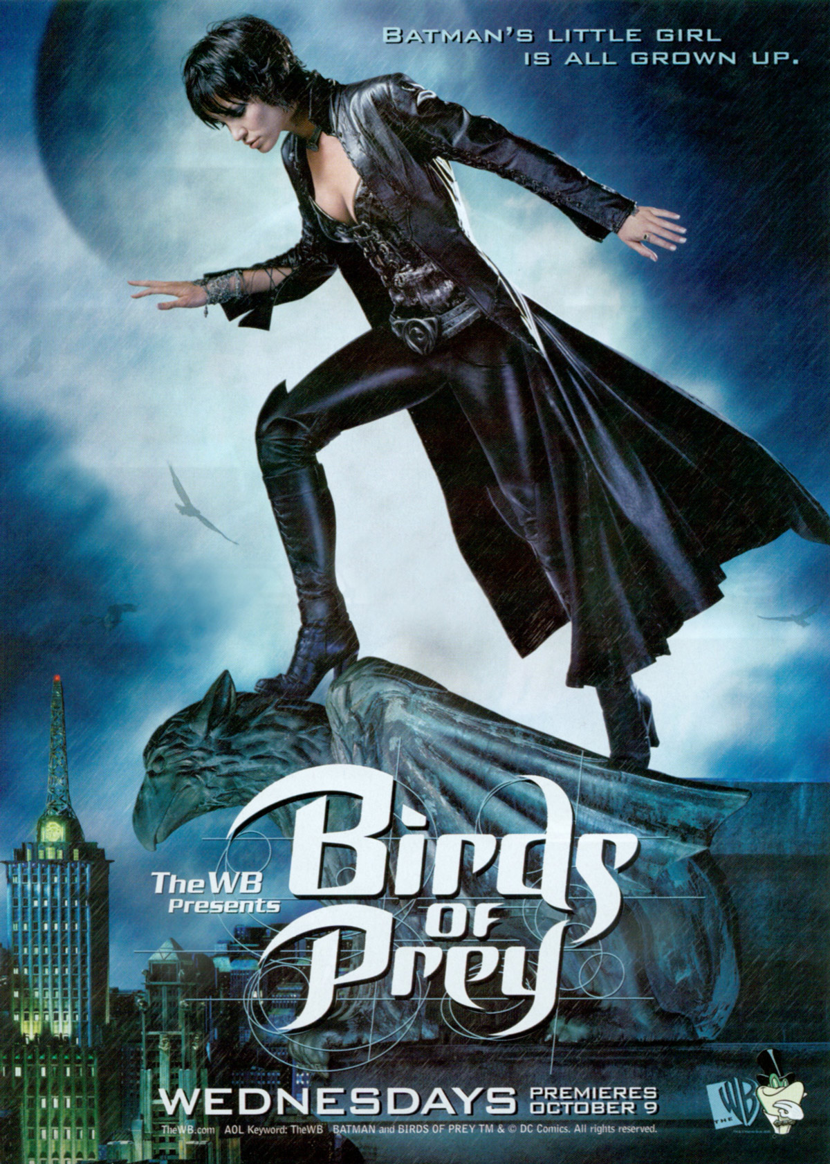دانلود سریال پرندگان شکاری Birds of Prey 2002