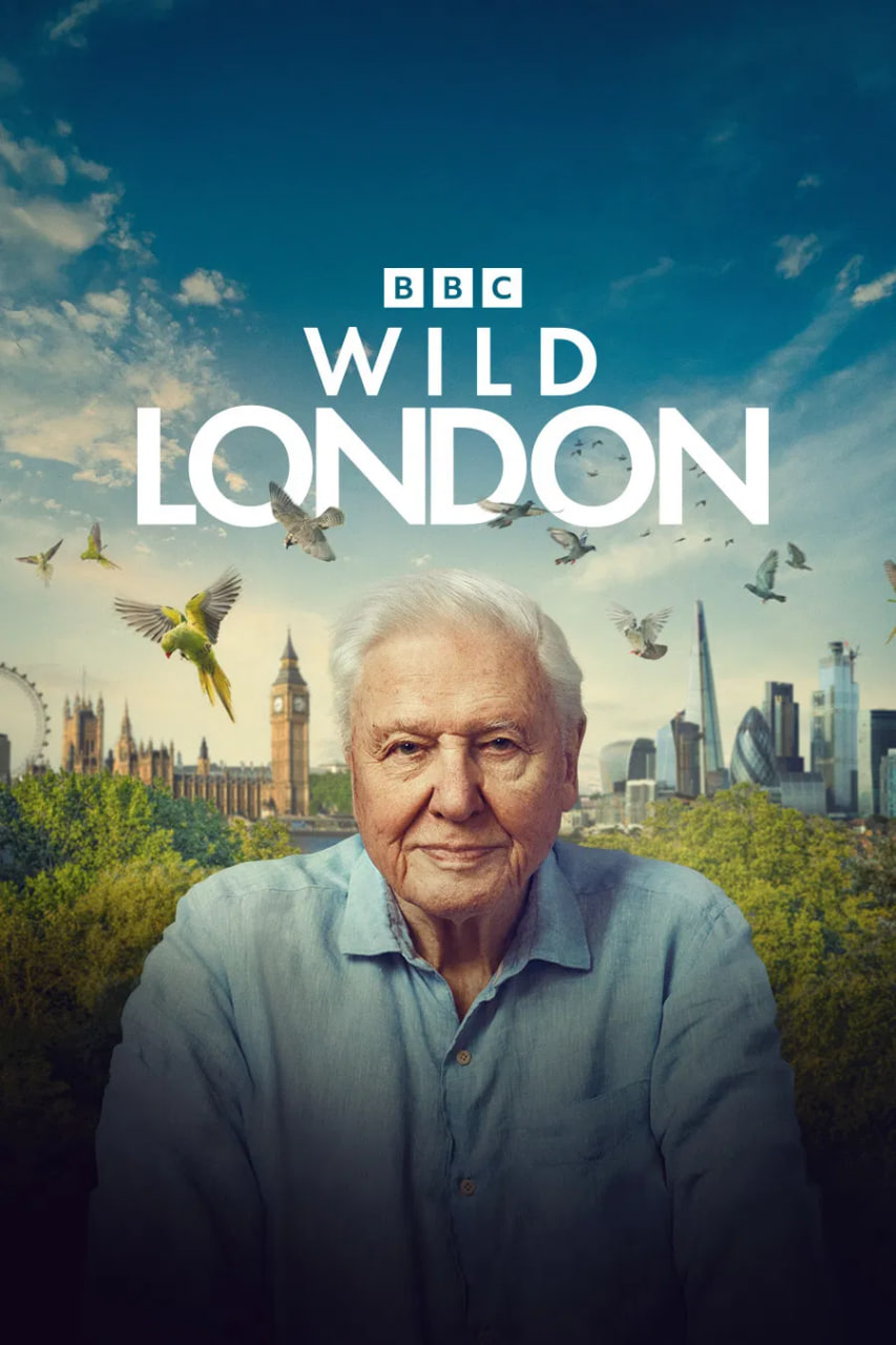 دانلود مستند لندن وحشی Wild London 2026