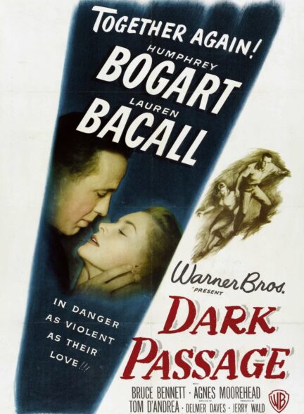 دانلود فیلم گذرگاه تاریک Dark Passage 1947