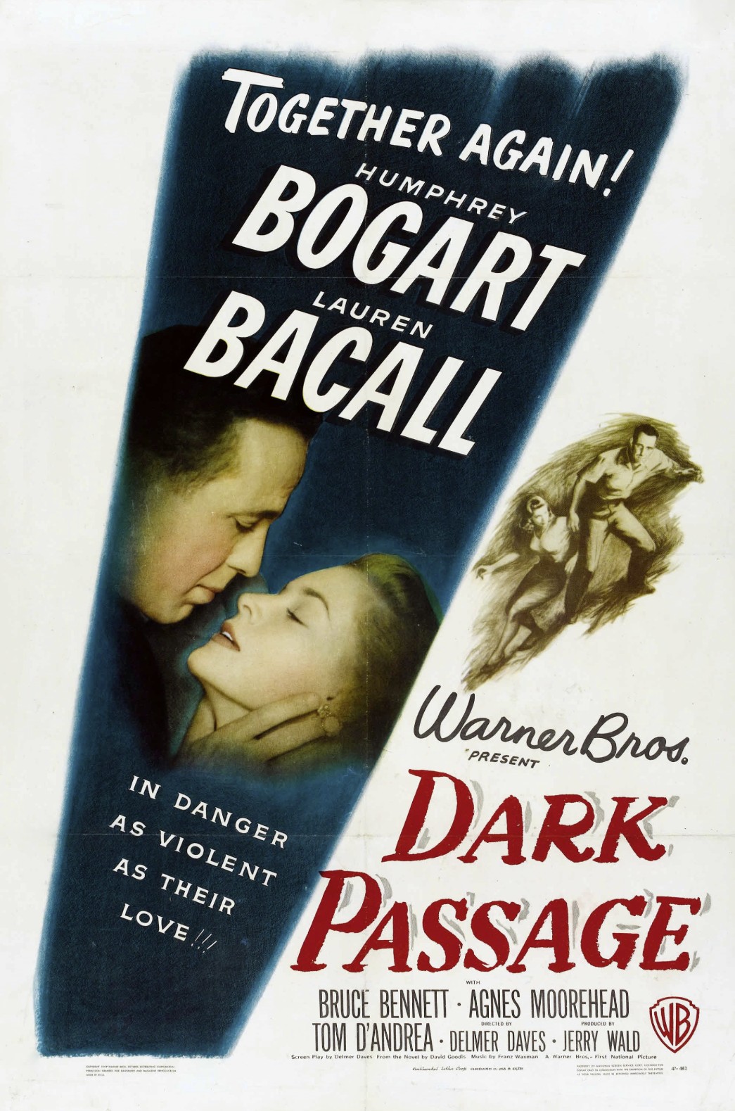 دانلود فیلم گذرگاه تاریک Dark Passage 1947 دانلود فیلم گذرگاه تاریک Dark Passage 1947