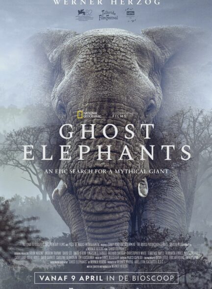 دانلود مستند فیل های شبح گونه Ghost Elephants 2025