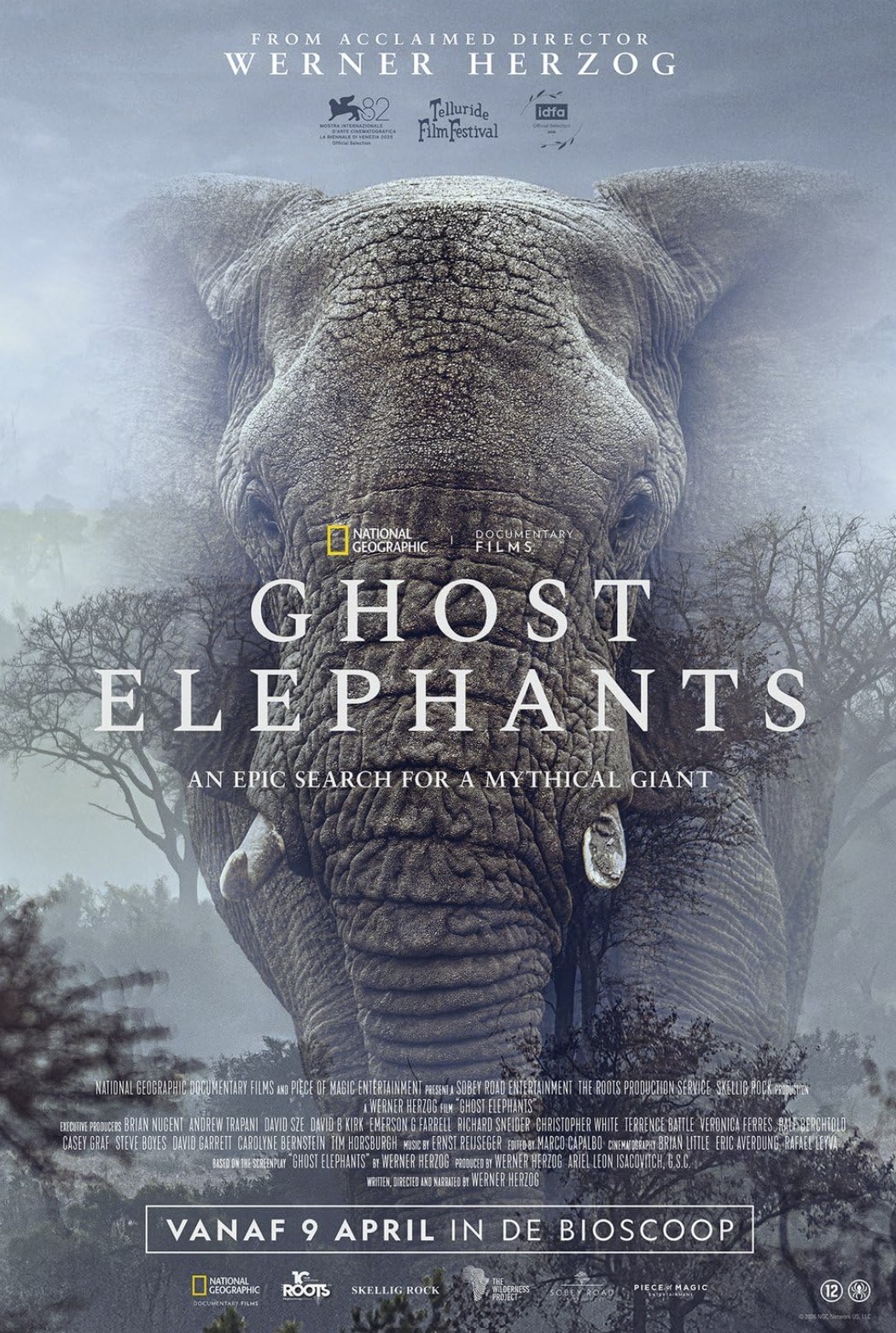 دانلود مستند فیل های شبح گونه Ghost Elephants 2025