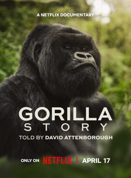 دانلود فیلم داستان یک گوریل 2026 A Gorilla Story: Told by David Attenborough