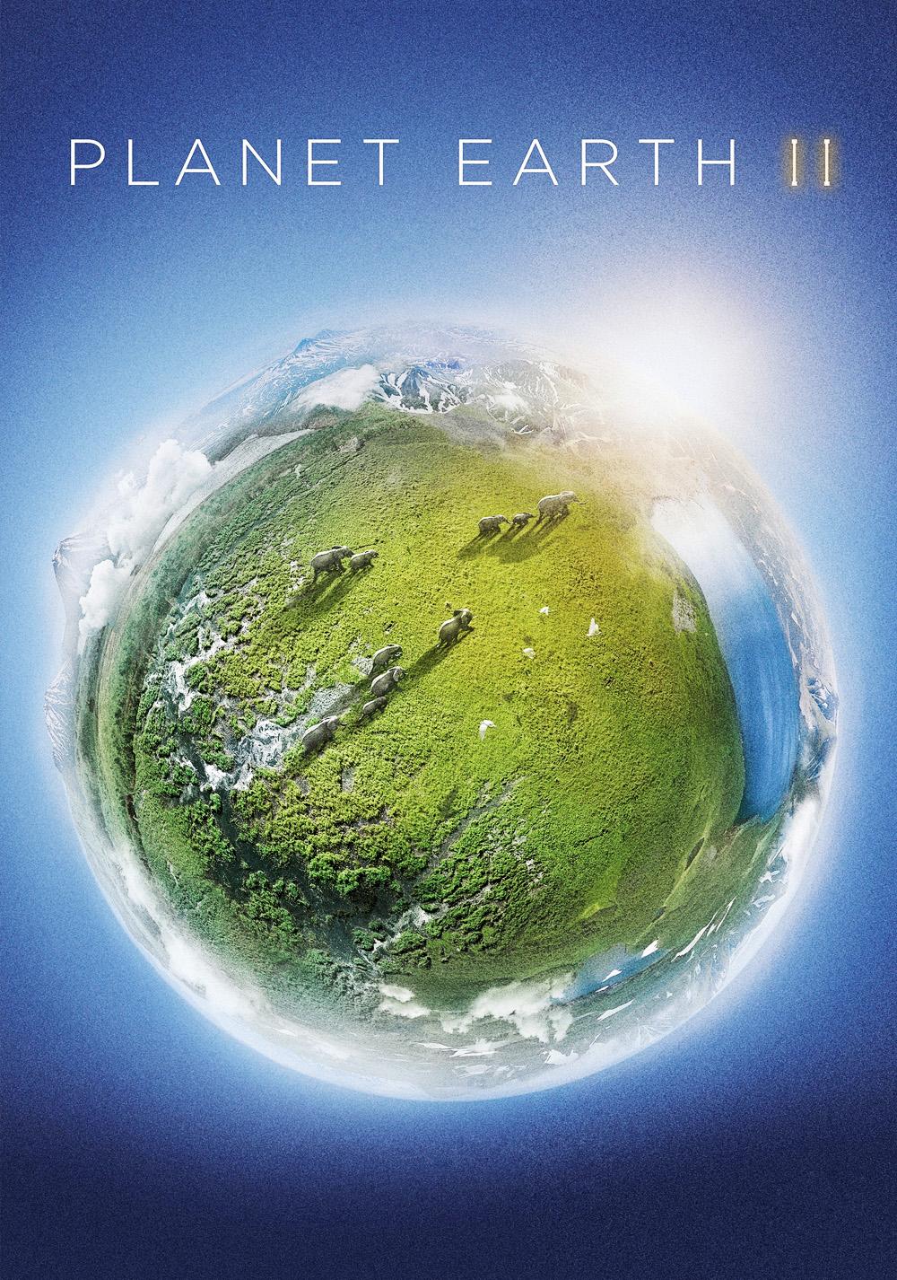 دانلود مستند سیاره زمین 2 Planet Earth II 2016 MV5BMzY4NDBkMWYtYzdkYy00YzBjLWJmODctMWM4YjYzZTdjNWE5XkEyXkFqcGc@. V1  1