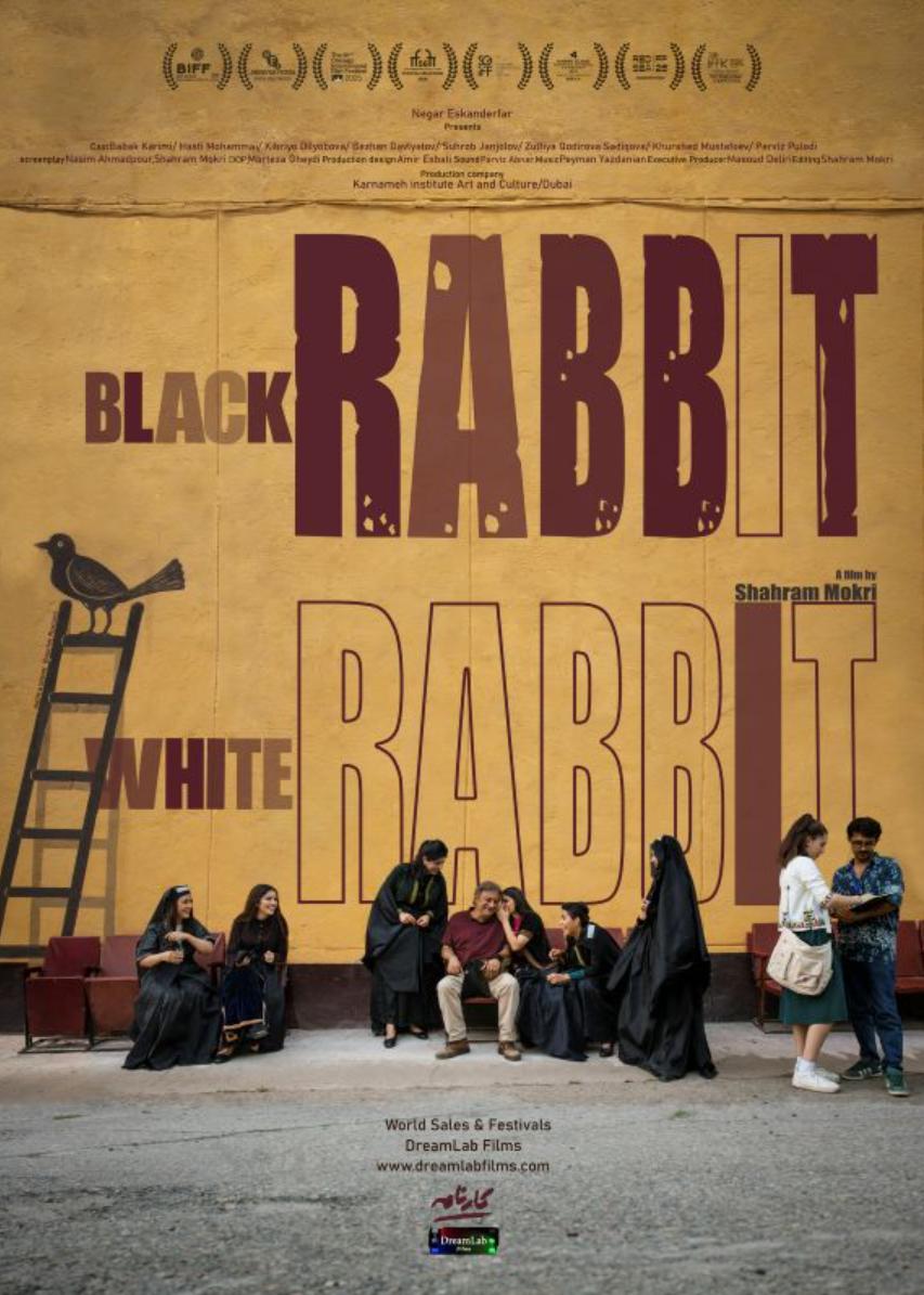 دانلود فیلم خرگوش سیاه، خرگوش سفید Black Rabbit, White Rabbit 2025