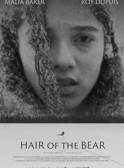 دانلود فیلم Hair of the Bear 2026 موی خرس