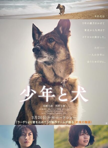 دانلود فیلم پسر و سگ The Boy and the Dog 2025
