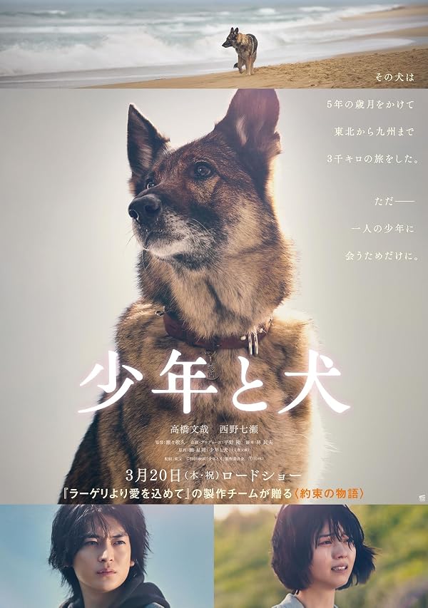 دانلود فیلم پسر و سگ The Boy and the Dog 2025