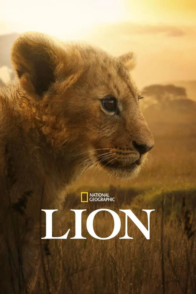 دانلود مستند شیر 2026 Lion